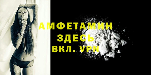 сатива Грязи