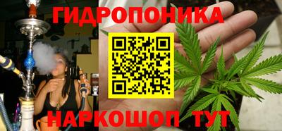 Альфа ПВП Хасавюрт