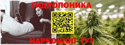 apvp Холмск