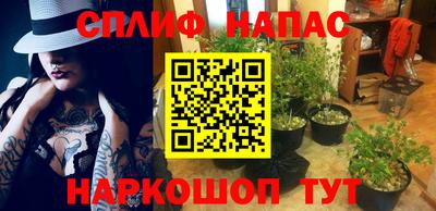 Альфа ПВП Хасавюрт